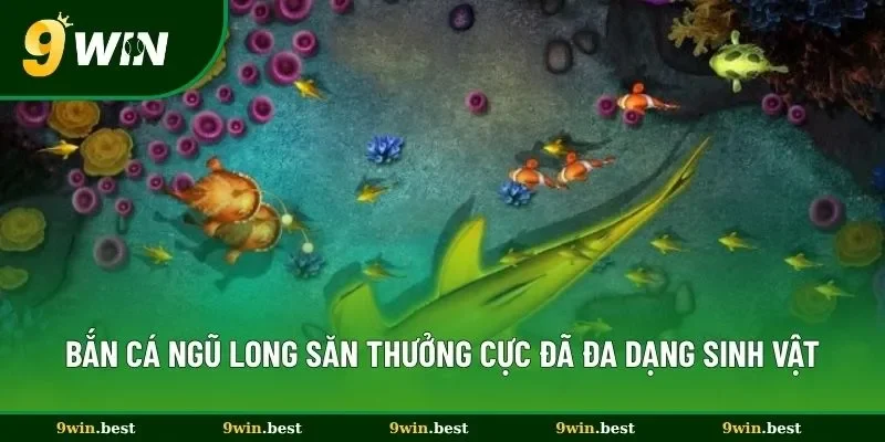Bắn Cá Ngũ Long 9win Săn Thưởng Cực Đã Với Đa Dạng Sinh Vật