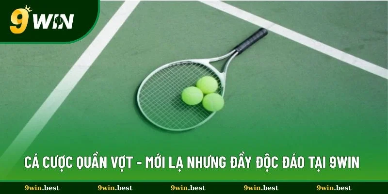 Cá Cược Quần Vợt - Mới Lạ Nhưng Đầy Độc Đáo Tại 9win