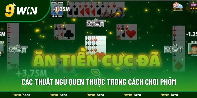 Các thuật ngữ quen thuộc trong cách chơi Phỏm