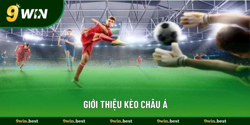 Giới thiệu kèo châu Á được ưa chuộng nhất 2025