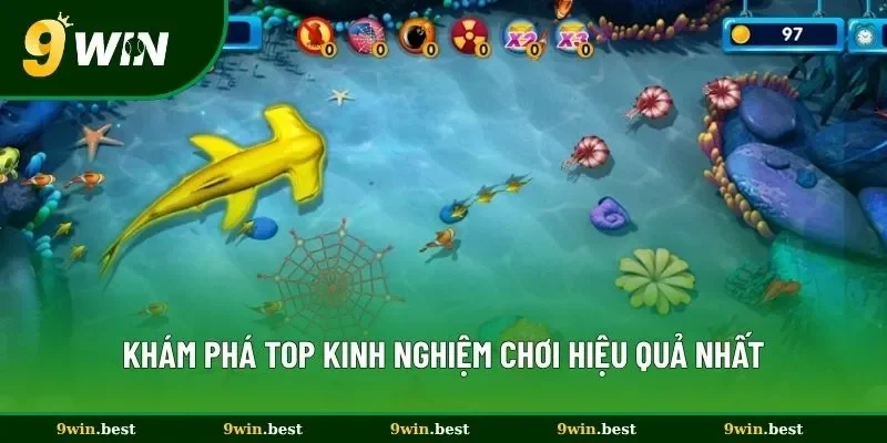 Khám phá top kinh nghiệm chơi hiệu quả nhất