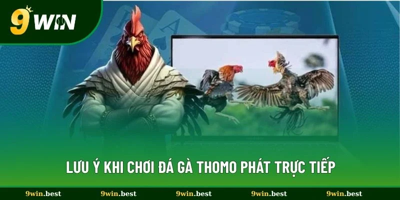 Lưu ý khi chơi đá gà thomo phát trực tiếp