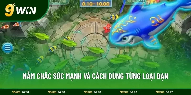 Nắm chắc sức mạnh và cách dùng từng loại đạn