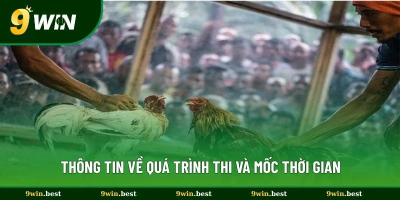 Thông tin về quá trình thi và mốc thời gian
