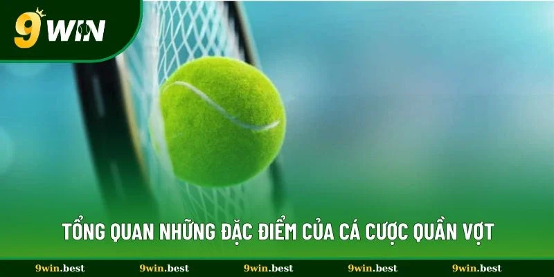 Tổng quan những đặc điểm của cá cược quần vợt