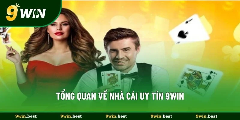 Thông tin chi tiết về nhà cái uy tín hàng đầu 9win